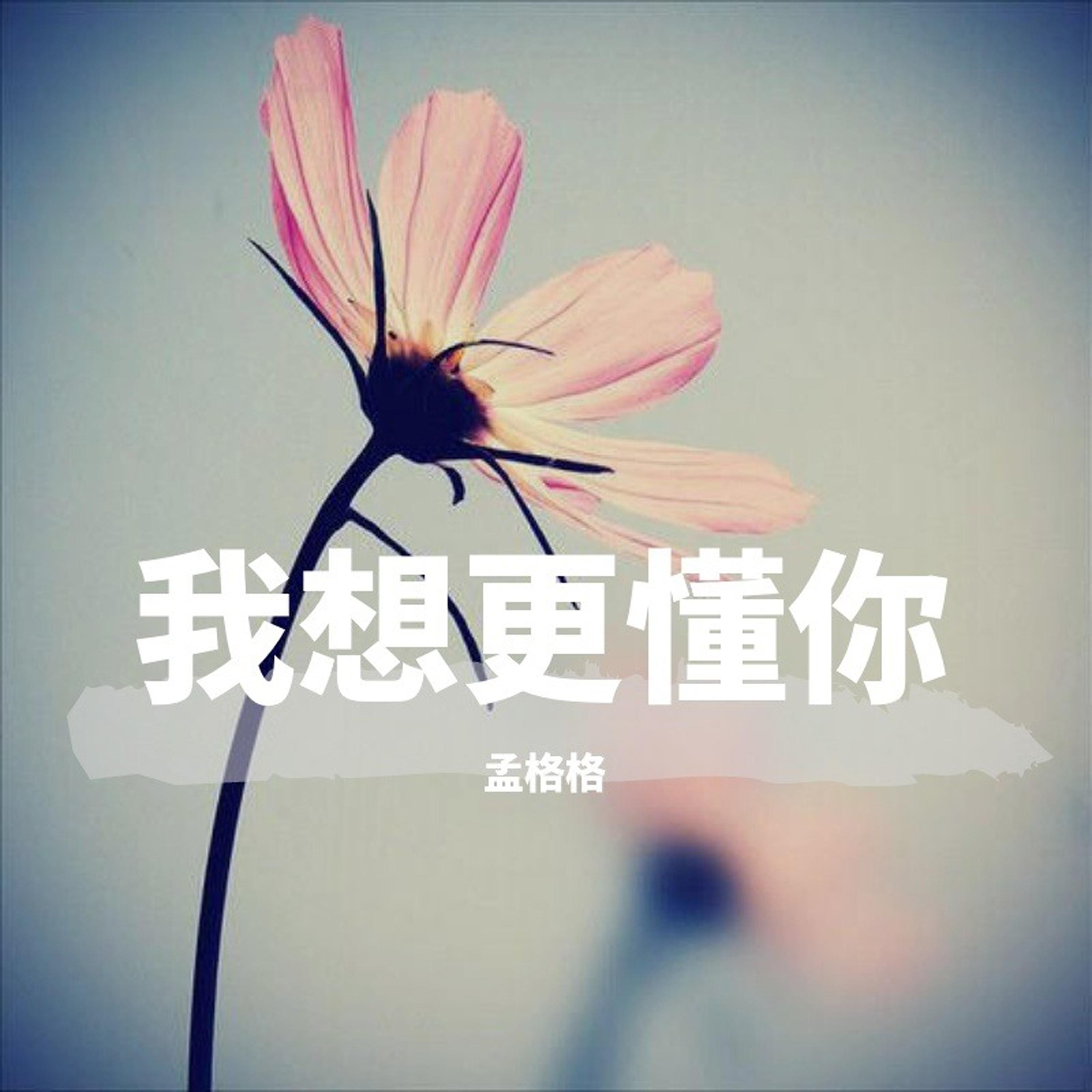 退守封面