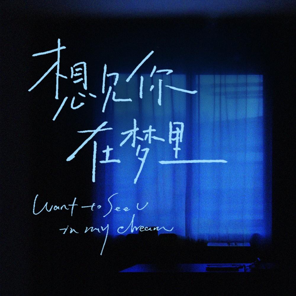 想见你在梦里_李泽_想见你在梦里 | 在线播放_想见你在梦里歌词_想见你在梦里下载 | 网易云音乐