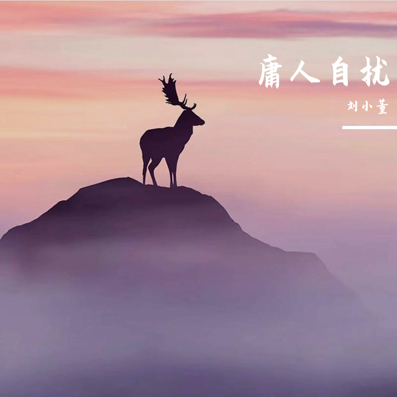 喝醉之后大脑飞来飞去不知道我唱的是什么歌 - 刘小董封面