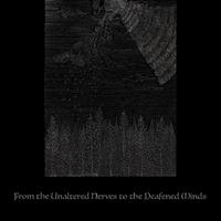 Orestes资料,Orestes最新歌曲,OrestesMV视频,Orestes音乐专辑,Orestes好听的歌