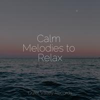 Calm Melodies to Relax