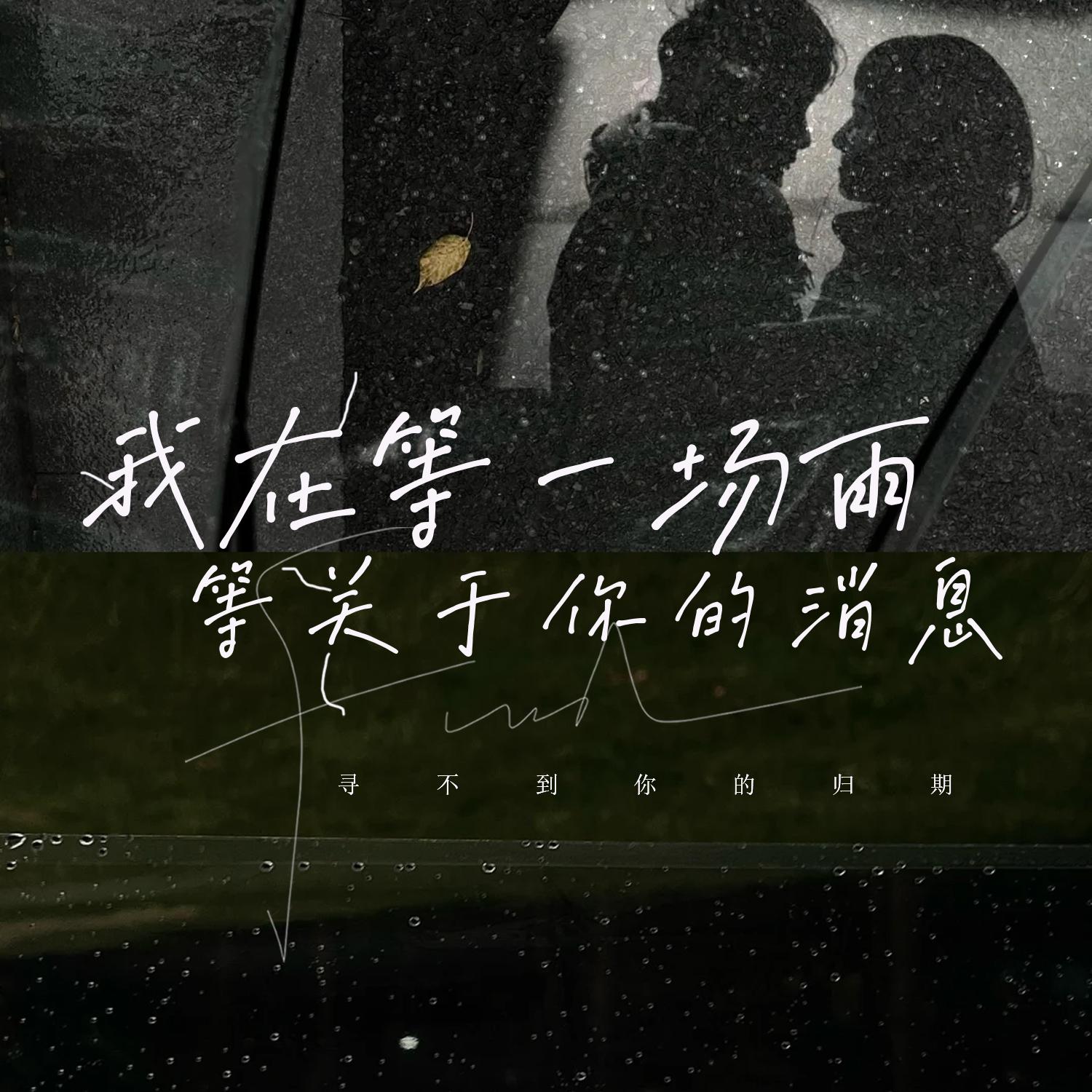 我在等一场雨 等关于你的消息封面