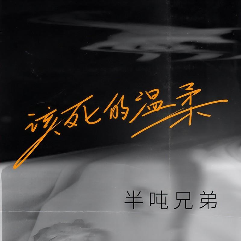 该死的温柔 (DJ阿卓版)封面