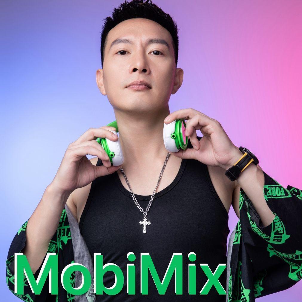 罗诗慧-罗诗慧 - 空窗半载（DJ MOBi remix）封面