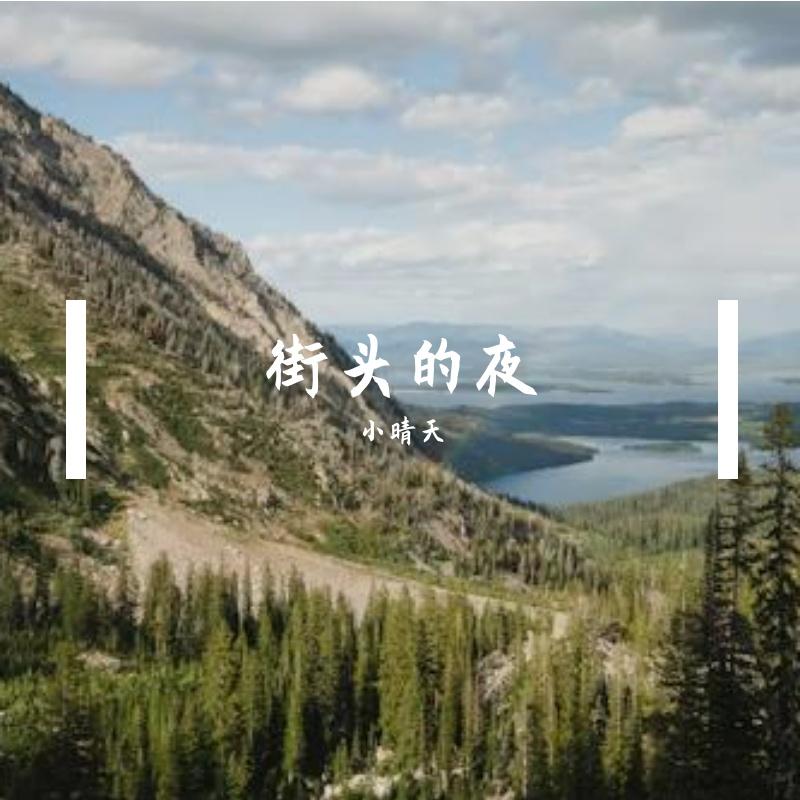 梦中的星星封面