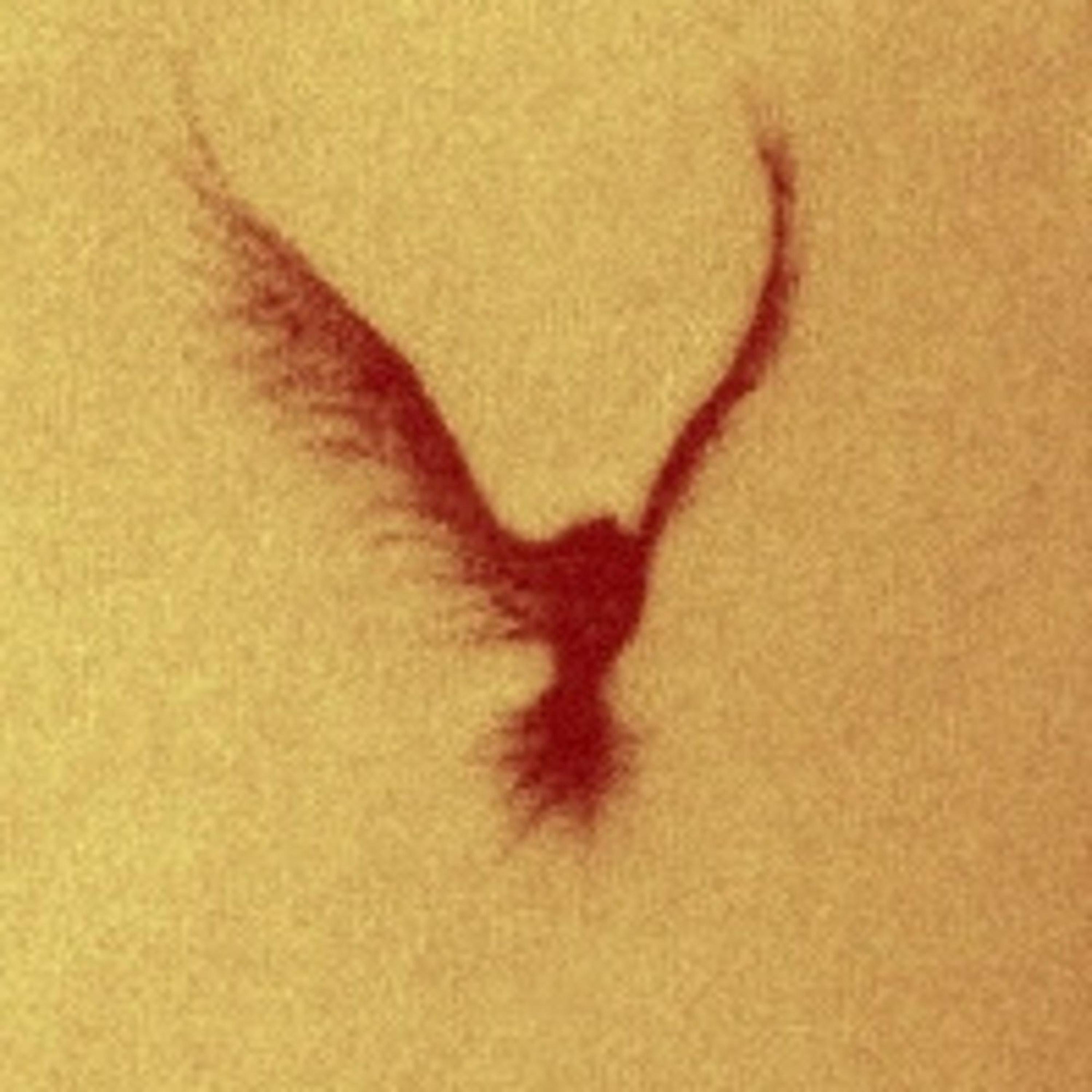 Rob Dillingham (feat. J the Plug)