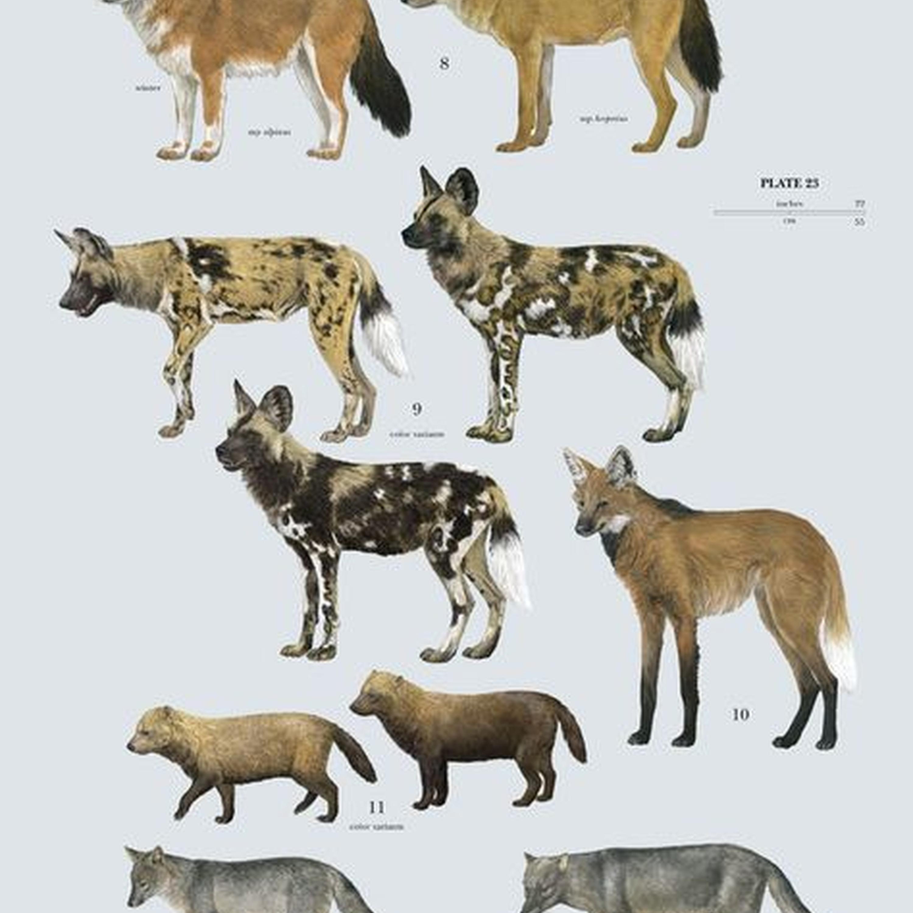 U Are My High (slowed)