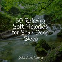 50 Relaxing Soft Melodies for Spa & Deep Sleep