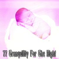 77 Tranquility For The Night