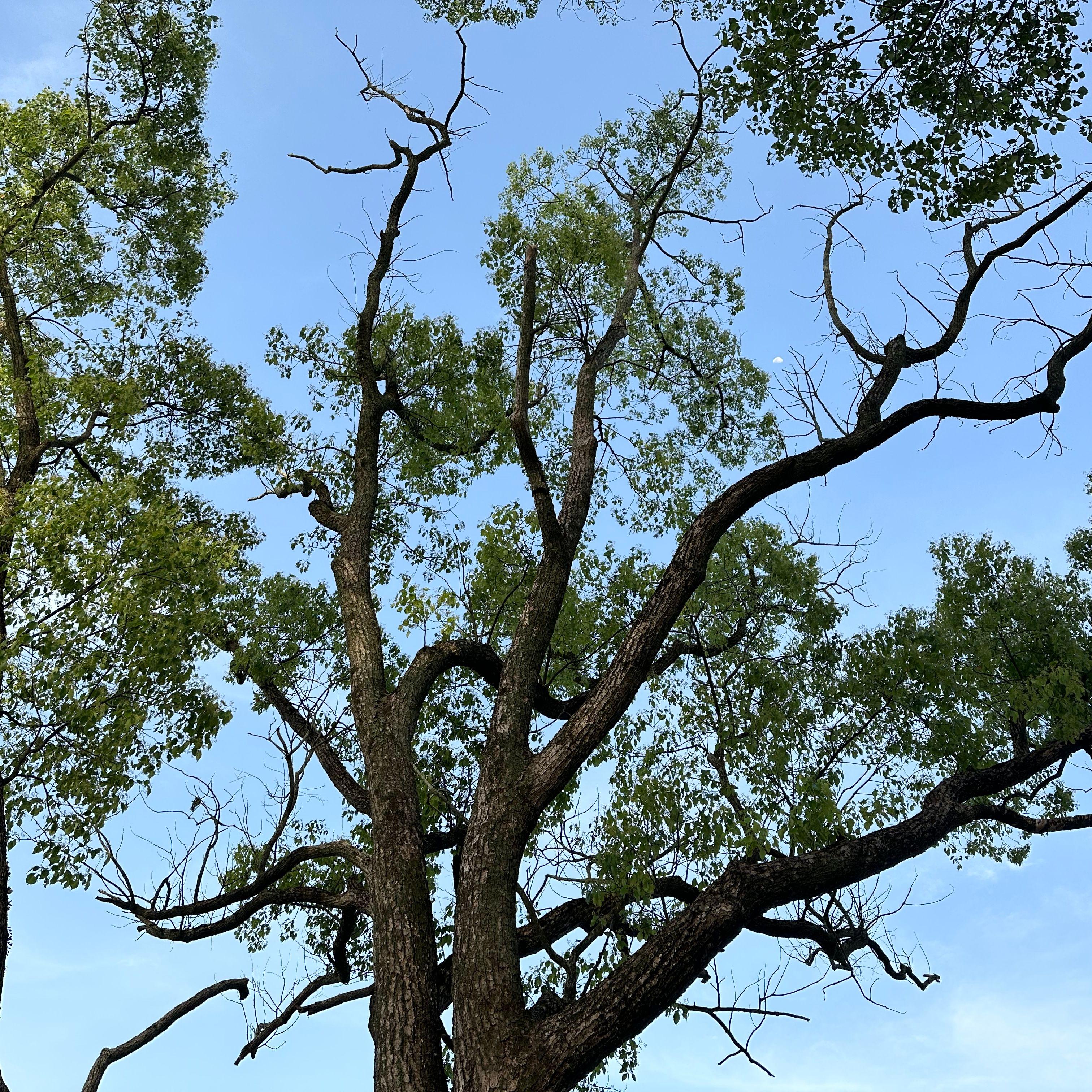 《意味》（cover 李）