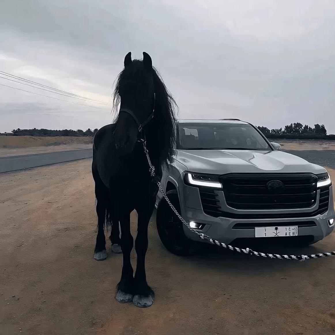 听不腻的车载歌曲