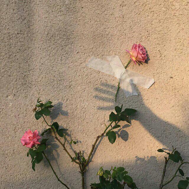 『特异独行』 身处孤独却又无比浪漫