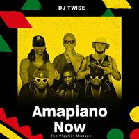 Amapiano Now (The Playlist Mixtape)