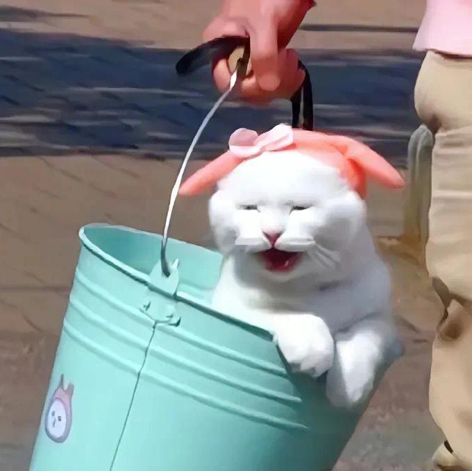 Jackson's Vibe: 王嘉尔式心跳节拍磁场