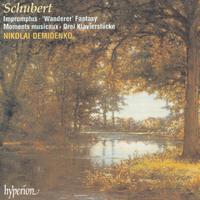 Schubert: Impromptus, Moments musicaux & Wanderer Fantasy