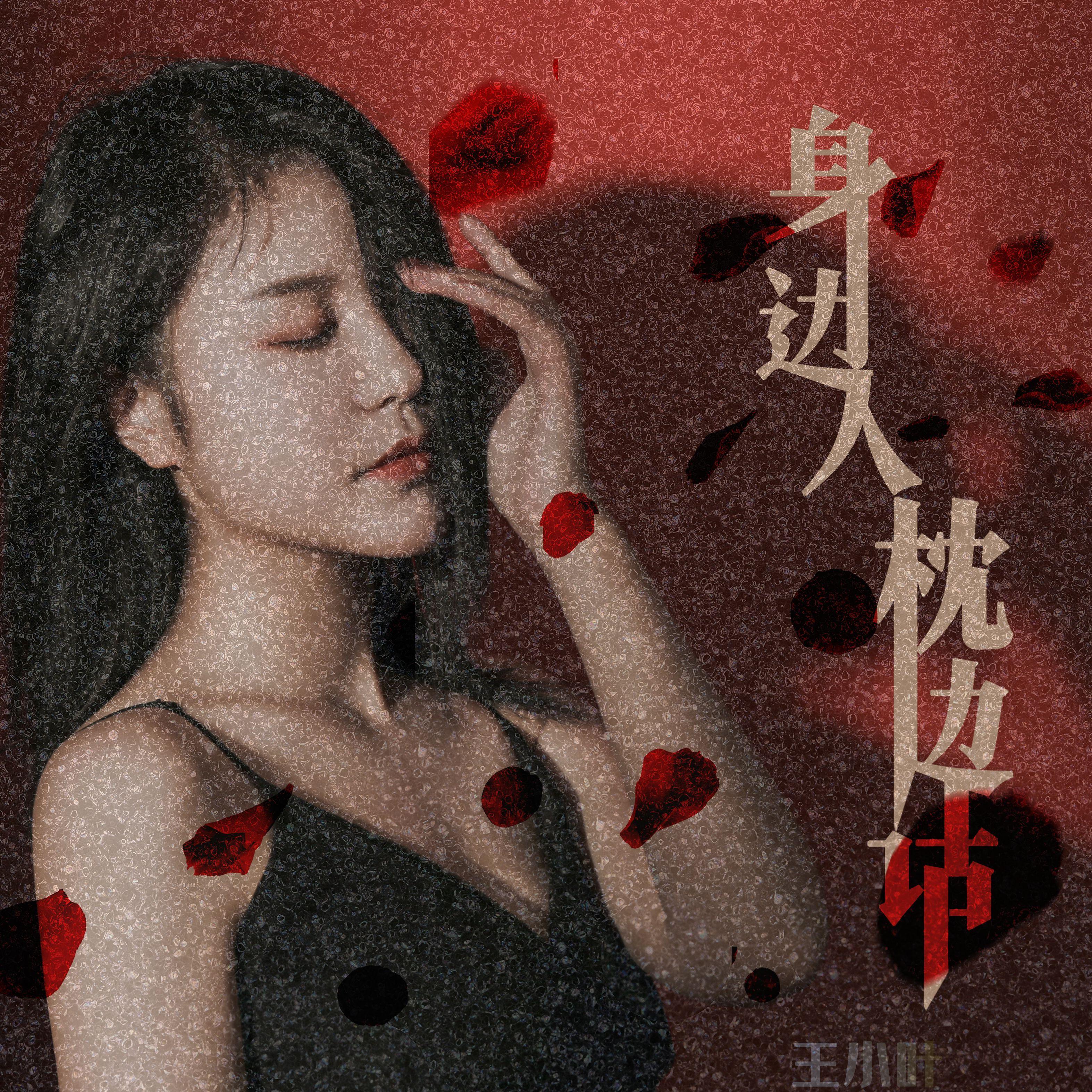 身边人枕边话（伴奏） - 王小叶封面
