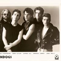 The Raindogs资料,The Raindogs最新歌曲,The RaindogsMV视频,The Raindogs音乐专辑,The Raindogs好听的歌