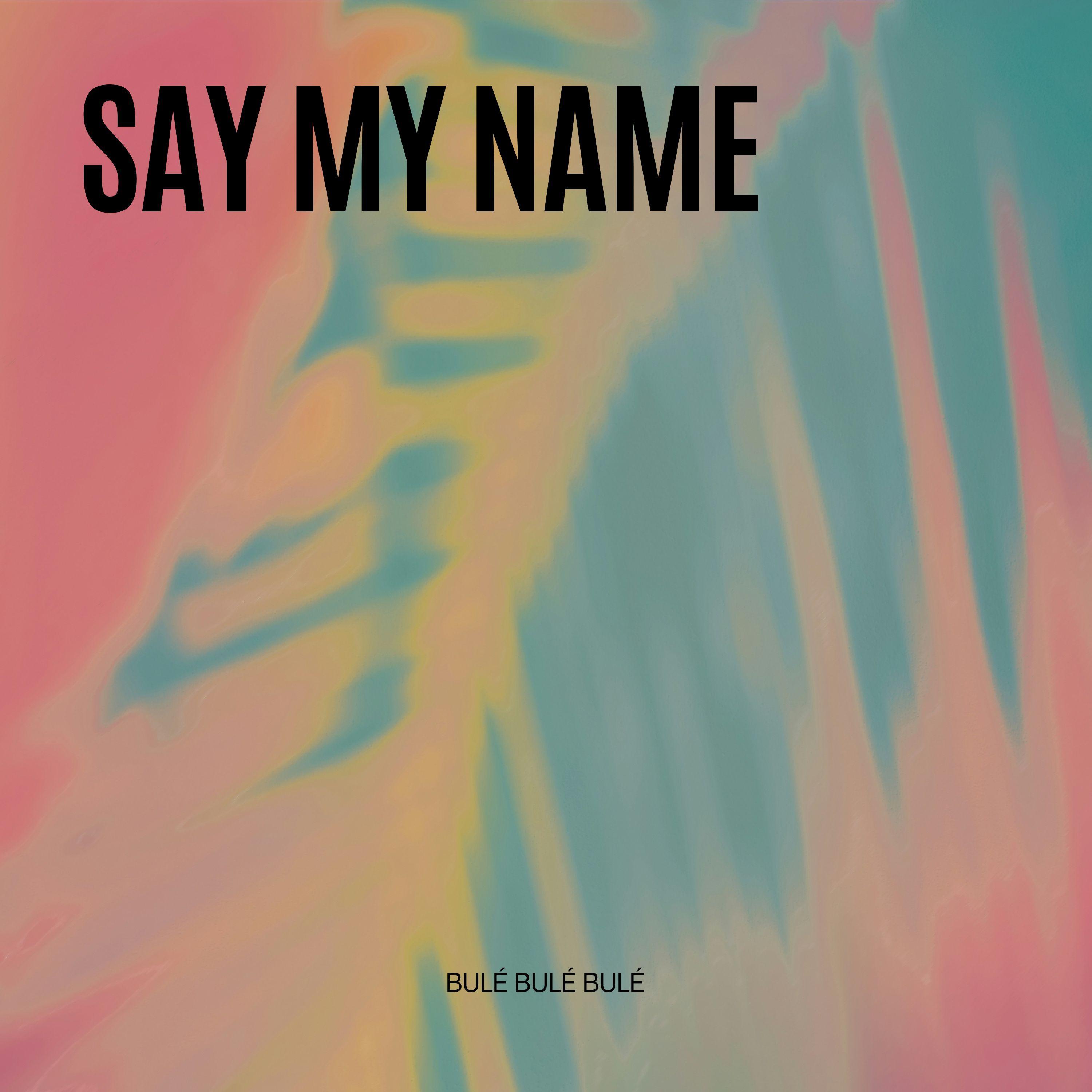 spectrum (say my name) (house)