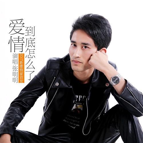 爱情到底怎么了 - 张明明封面