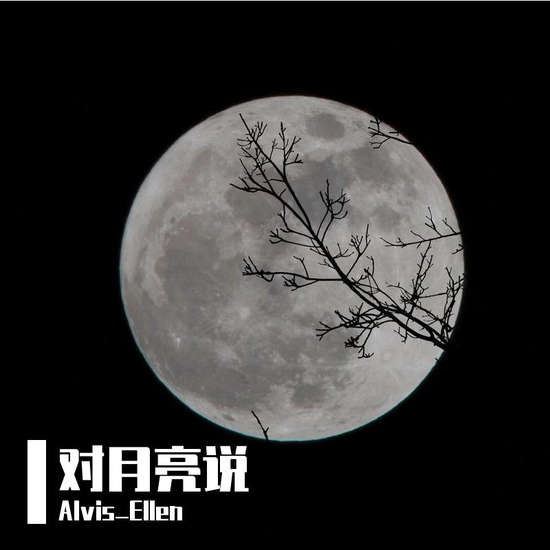 对月亮说