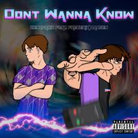 Dont Wanna Know (feat. Frederik Hansen)