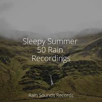 Sleepy Summer 50 Rain Recordings