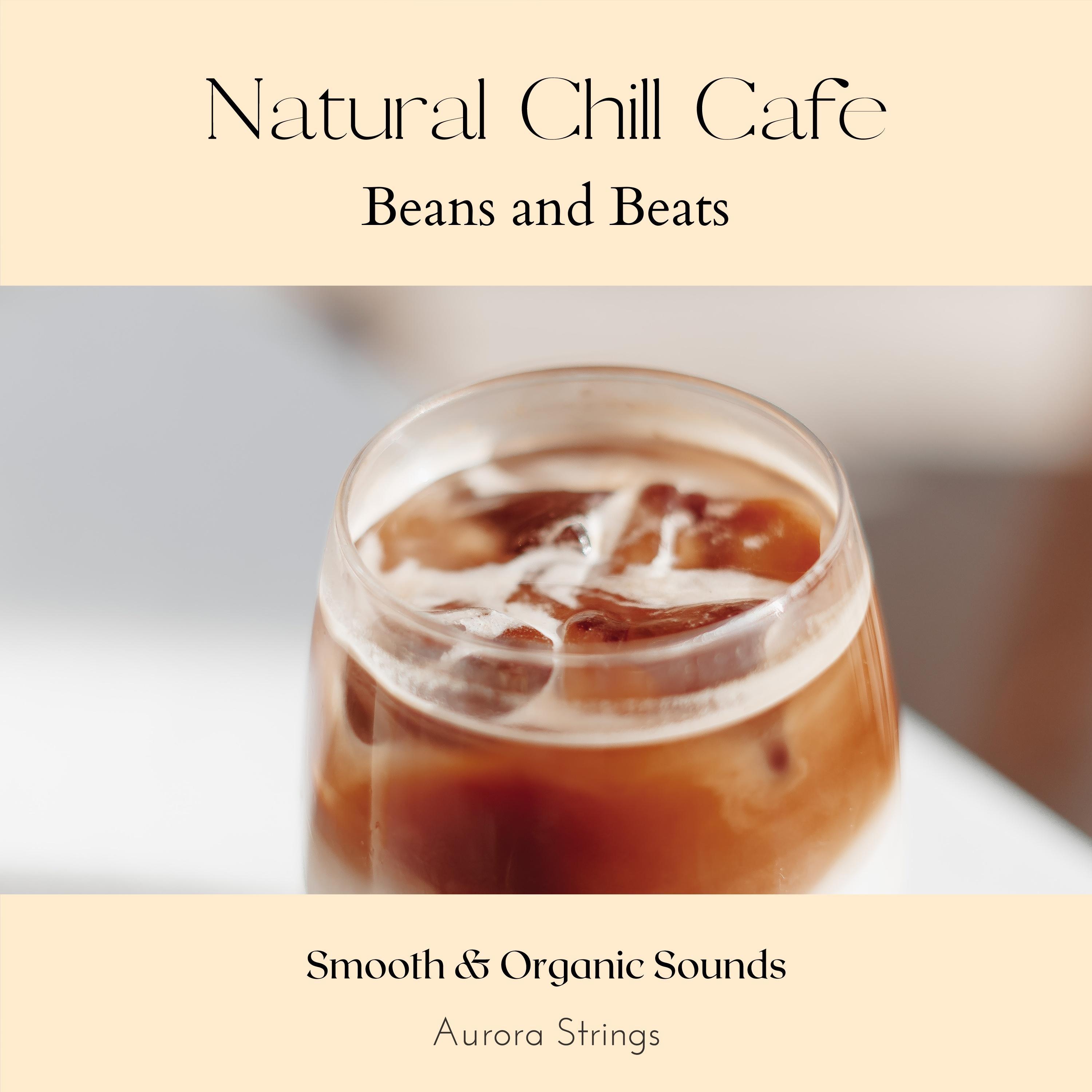 Natural Chill Cafe Beans and Beats Aurora Strings 专辑 网易云音乐