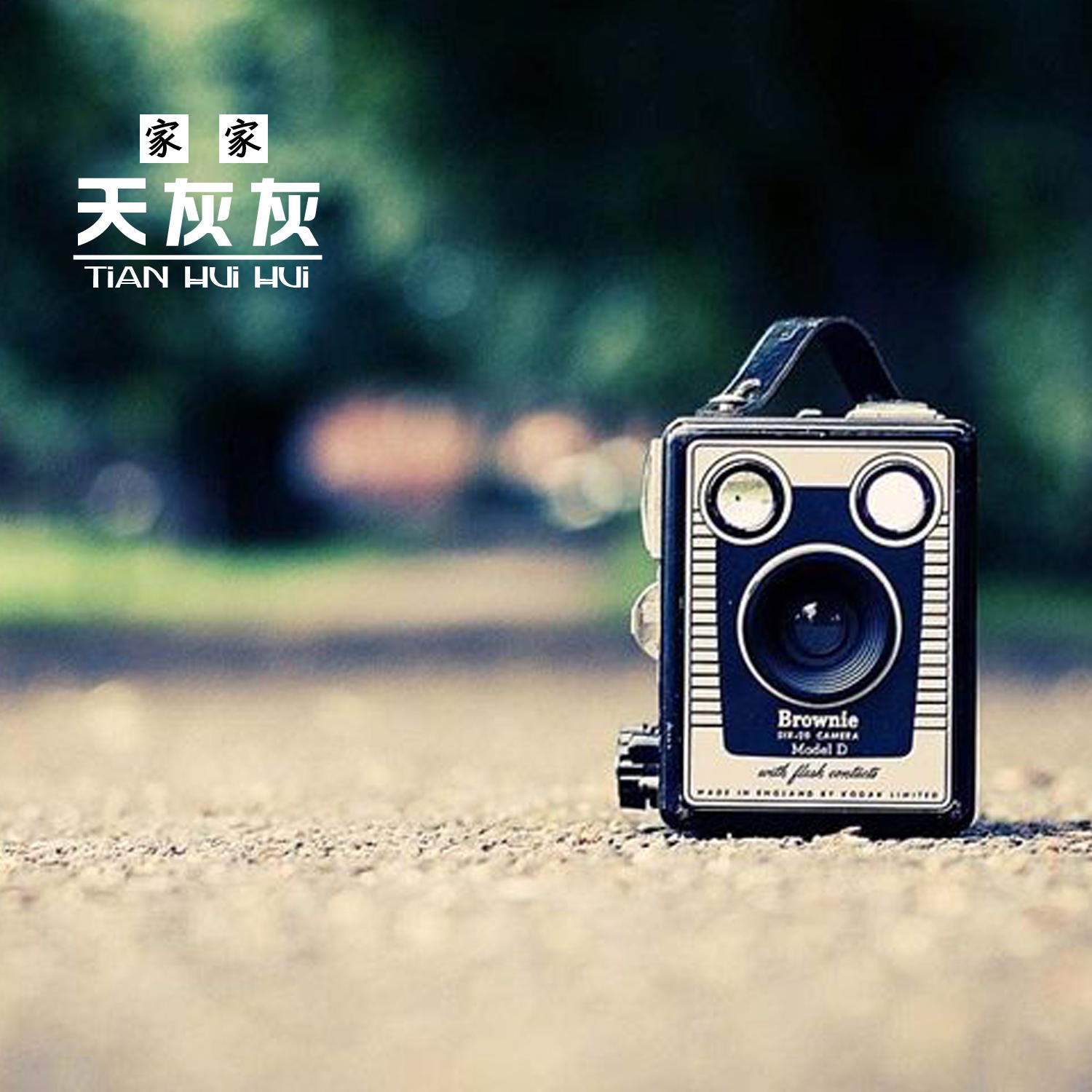 天灰灰封面