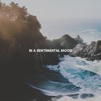 In a Sentimental Mood