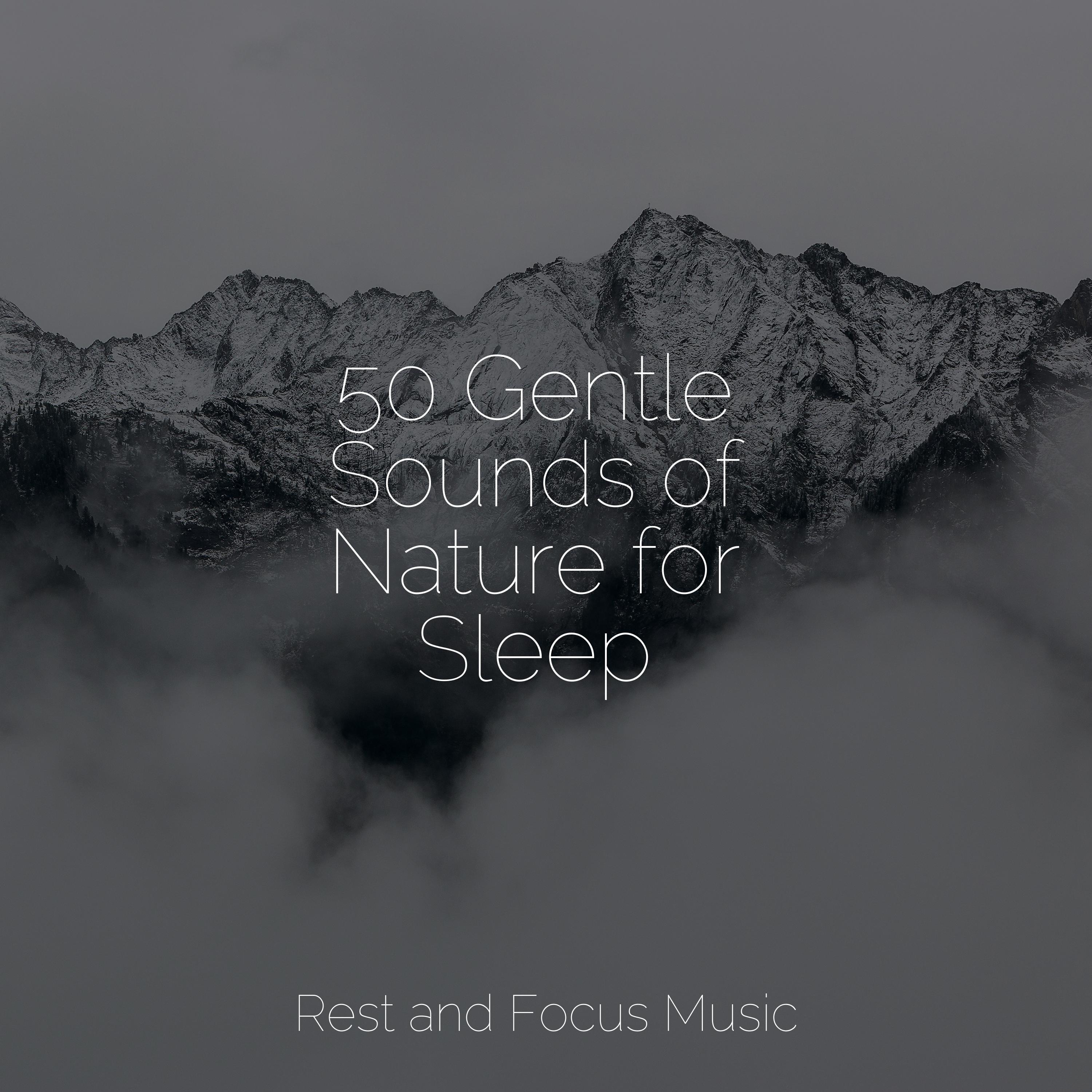 groove-in-the-grove-pet-care-music-therapy-relaxation-sleep