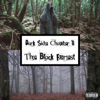 Dark Side Chapter II: The Black Forest