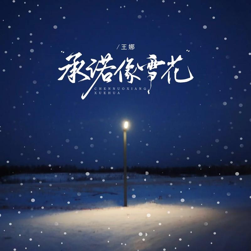 承诺像雪花 (DJ京仔版)封面