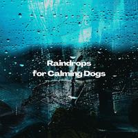 Raindrops for Calming Dogs