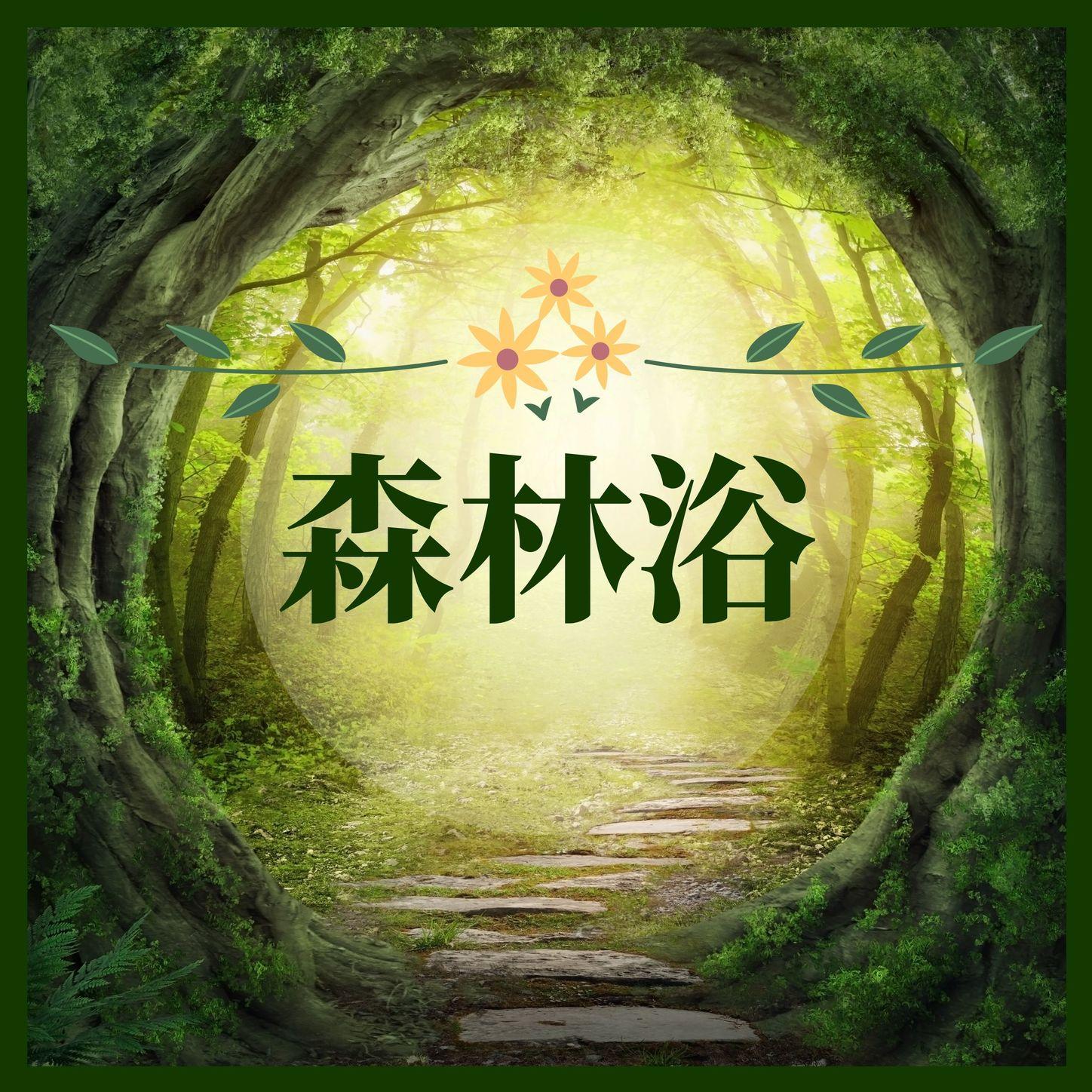 森林浴封面