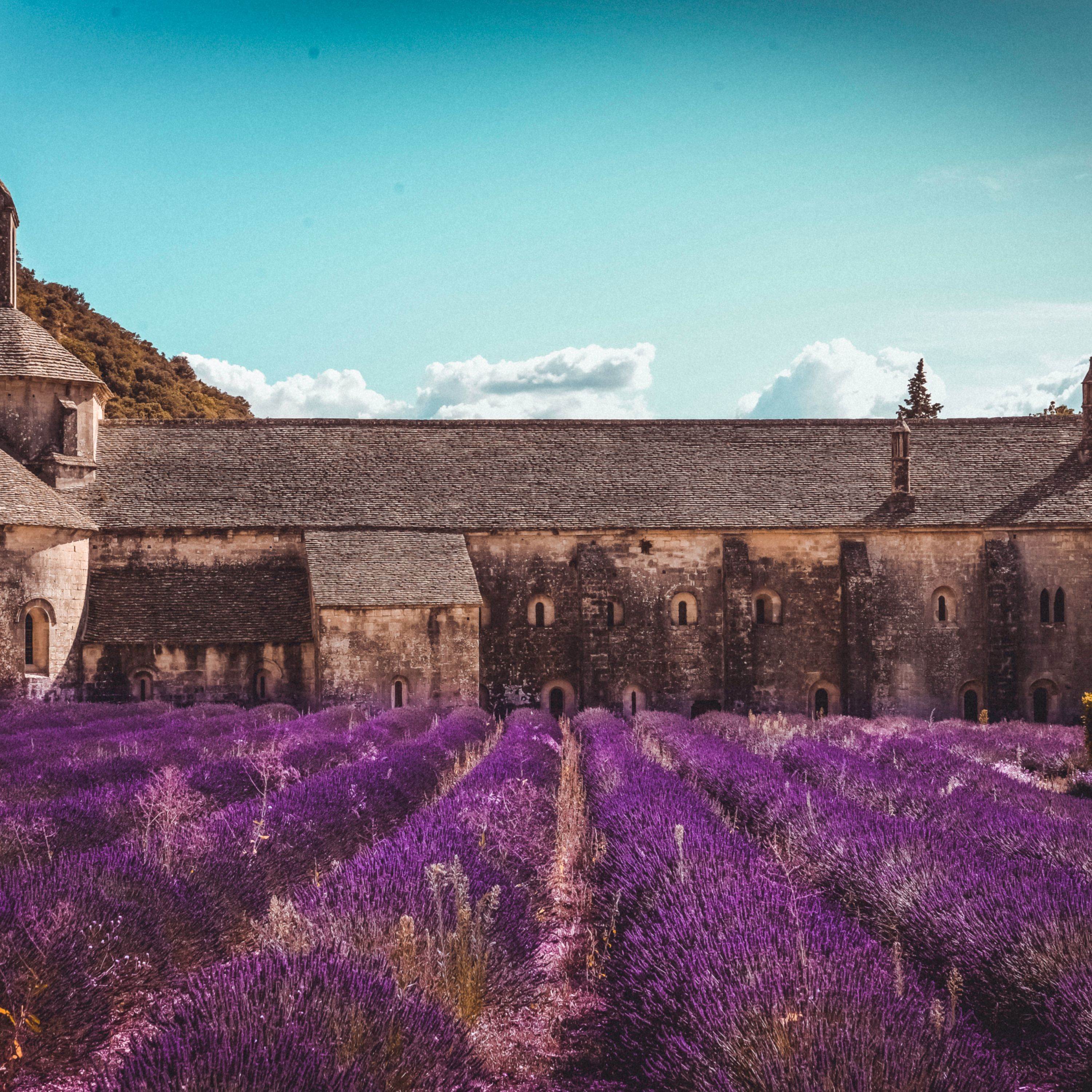 Lady Of The Sanctrum