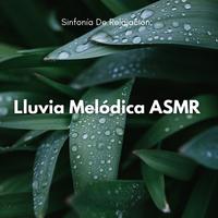 Sinfonía De Relajación: Lluvia Melódica ASMR