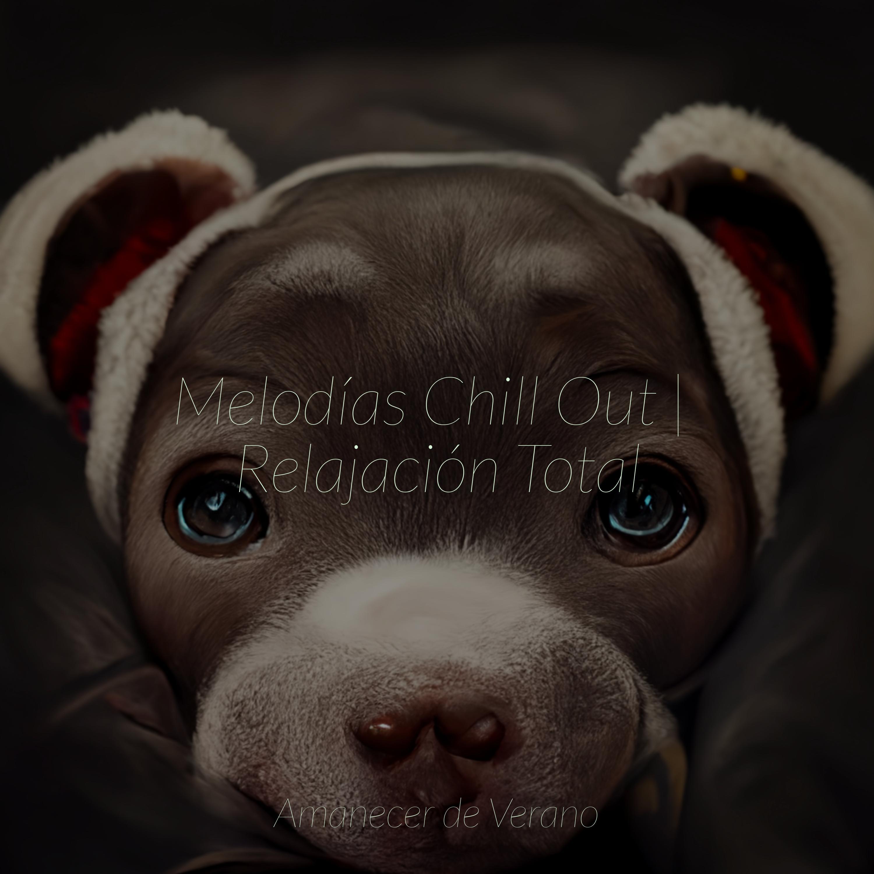 Desconectarse y Desenchufar