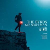 Mr. Spaceman (Live)