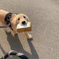 DJ阿柒 - 庄心妍-有爱就不怕( DJ阿柒 Remix)