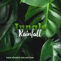 Jungle Rainfall