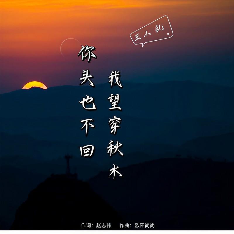 你头也不回 我望穿秋水 - 王小乱封面