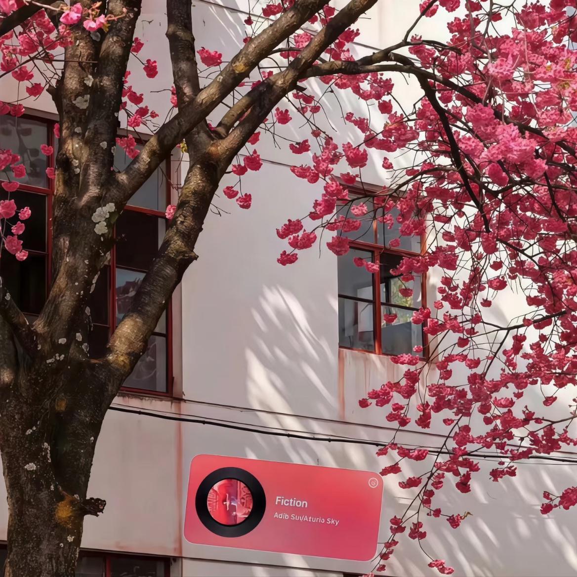 请你别走太快(最火释怀版)封面