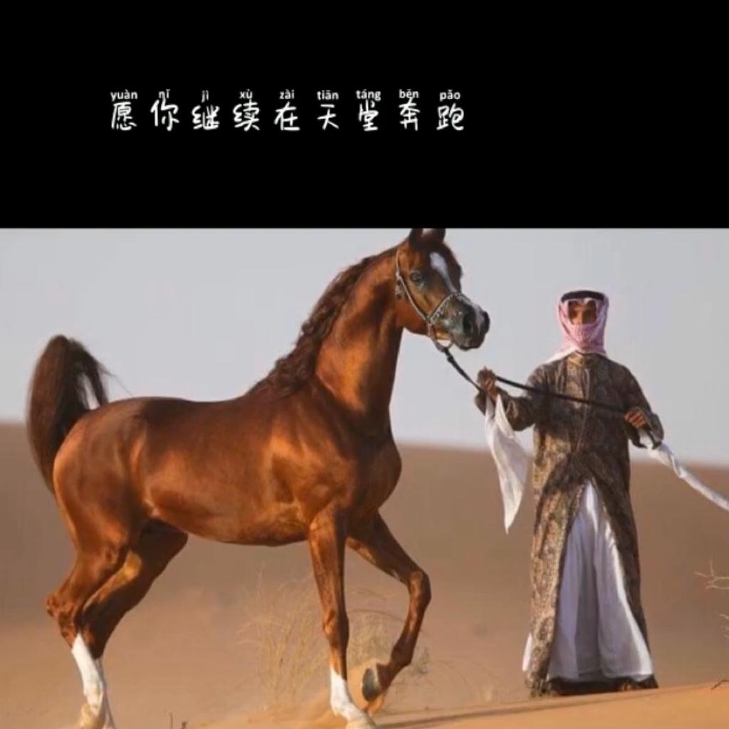 EMRAN-维吾尔族 歌