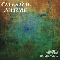 Celestial Nature - Calming Effects of Nature, Vol. 10