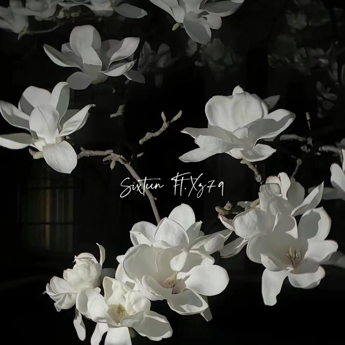 song-img