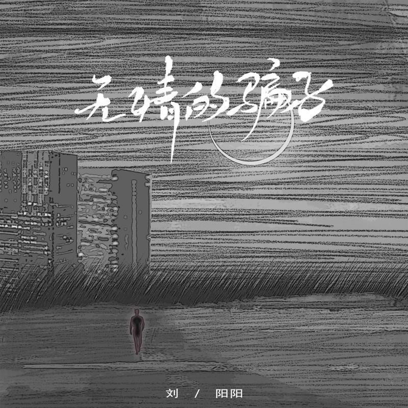 无情的骗子 (DJ版)封面