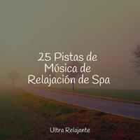 Jazz Para Crianças - Dormitar Sabiamente