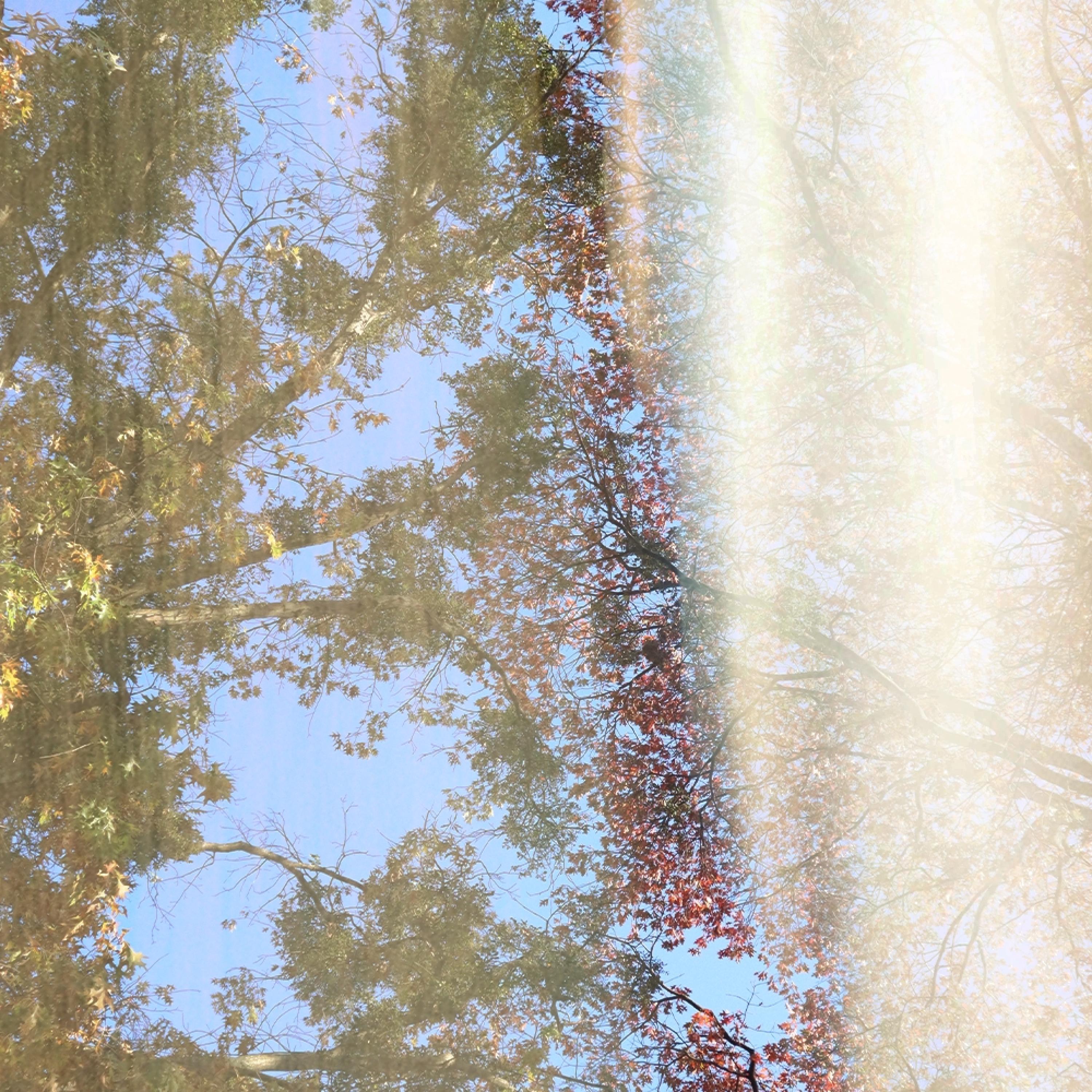 Limerence (feat. digifern)