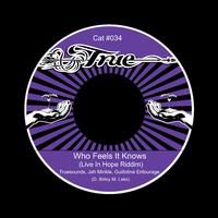 Who Feels It Knows (Live In Hope Riddim)