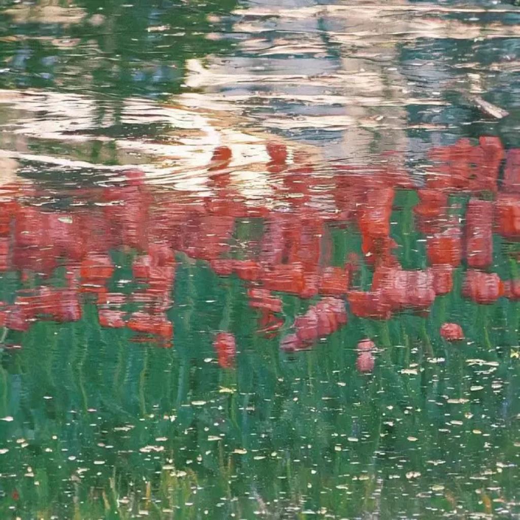 欧美｜慢下来的小马驹 冰块跳入汽水